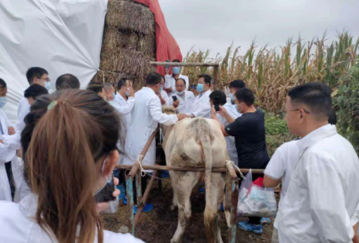开云电子集团第十八期牛羊病防治手艺高级研修班最先了-开云电子