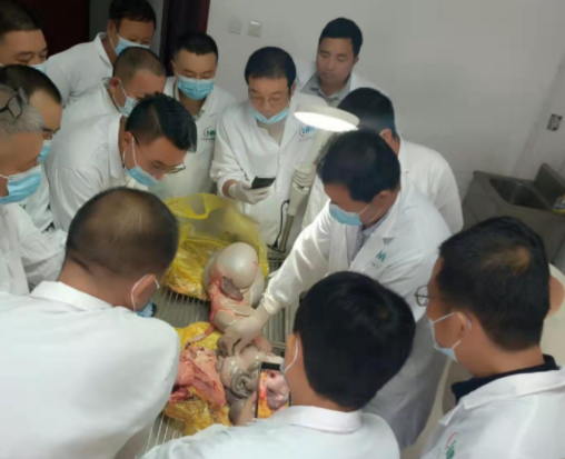 开云电子集团第十八期牛羊病防治手艺高级研修班最先了-开云电子
